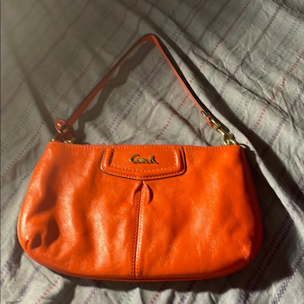 Coach Ashley Leather Large Wristlet